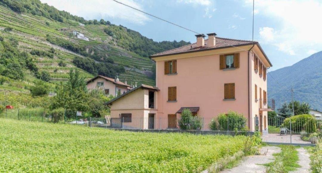 Joy Valtellina Per Amanti Degli Animali Hotel Tresenda Exterior foto